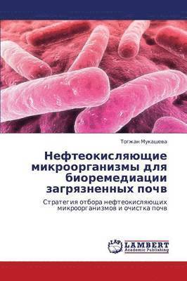 Nefteokislyayushchie Mikroorganizmy Dlya Bioremediatsii Zagryaznennykh Pochv 1