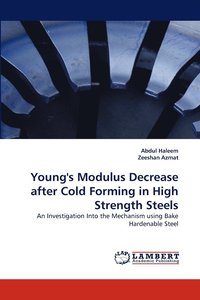 bokomslag Young's Modulus Decrease after Cold Forming in High Strength Steels