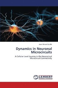 bokomslag Dynamics in Neuronal Microcircuits