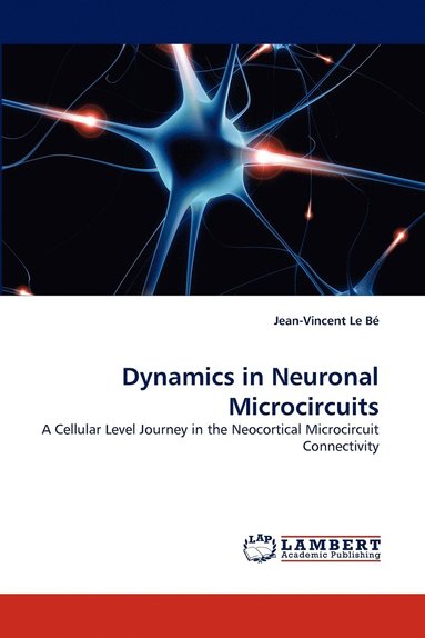 bokomslag Dynamics in Neuronal Microcircuits