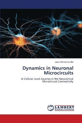 bokomslag Dynamics in Neuronal Microcircuits