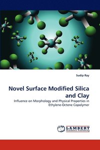 bokomslag Novel Surface Modified Silica and Clay
