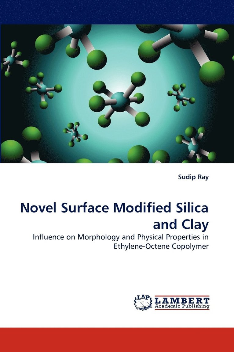 Novel Surface Modified Silica and Clay 1