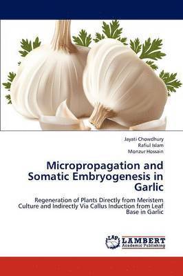 bokomslag Micropropagation and Somatic Embryogenesis in Garlic
