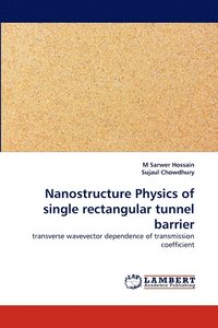 bokomslag Nanostructure Physics of single rectangular tunnel barrier