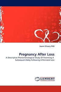 bokomslag Pregnancy After Loss