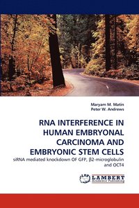 bokomslag RNA Interference in Human Embryonal Carcinoma and Embryonic Stem Cells