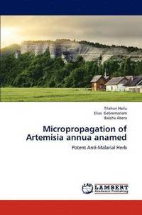 bokomslag Micropropagation of Artemisia Annua Anamed