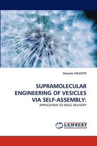 bokomslag Supramolecular Engineering of Vesicles Via Self-Assembly