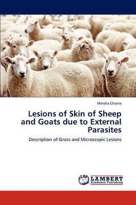 bokomslag Lesions of Skin of Sheep and Goats Due to External Parasites