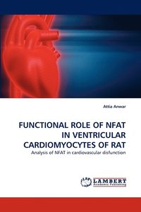 bokomslag Functional Role of Nfat in Ventricular Cardiomyocytes of Rat