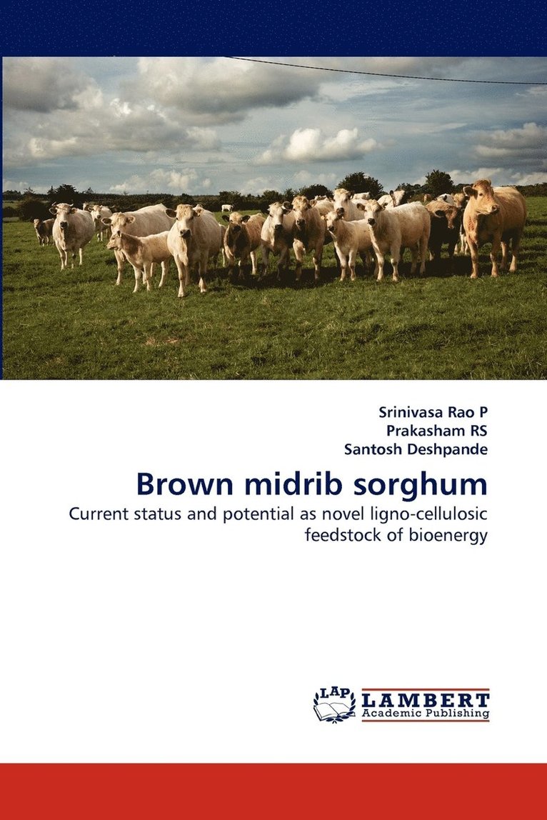 Brown Midrib Sorghum 1