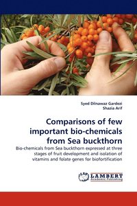 bokomslag Comparisons of Few Important Bio-Chemicals from Sea Buckthorn
