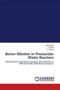bokomslag Boron Dilution in Pressurizer Water Reactors