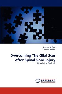 bokomslag Overcoming The Glial Scar After Spinal Cord Injury
