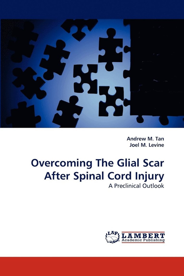 Overcoming The Glial Scar After Spinal Cord Injury 1