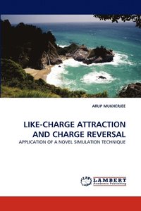 bokomslag Like-Charge Attraction and Charge Reversal