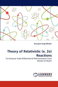 bokomslag Theory of Relativistic (E, 2e) Reactions