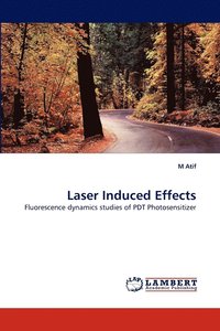 bokomslag Laser Induced Effects