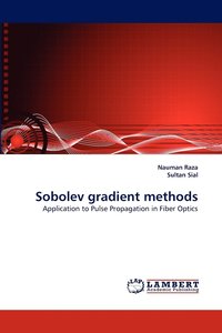 bokomslag Sobolev Gradient Methods