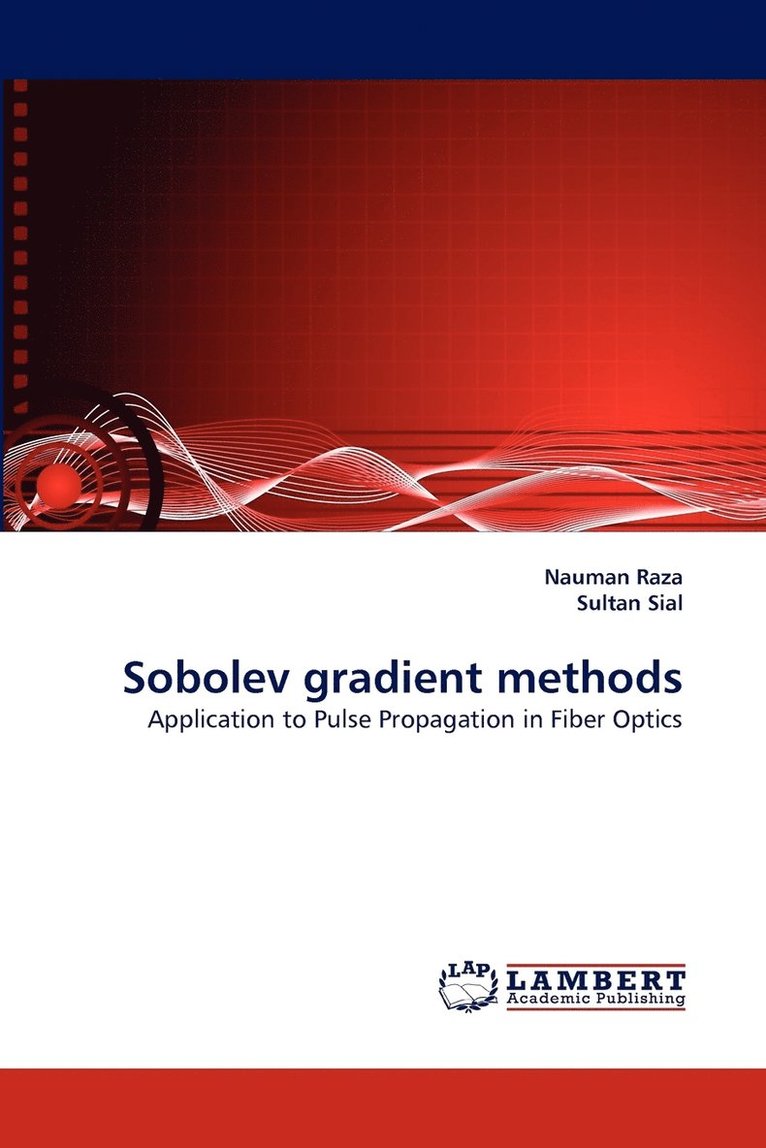 Sobolev Gradient Methods 1