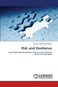 bokomslag Risk and Resilience