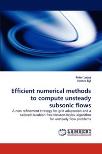 bokomslag Efficient Numerical Methods to Compute Unsteady Subsonic Flows