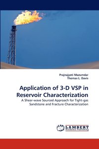 bokomslag Application of 3-D Vsp in Reservoir Characterization
