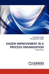 bokomslag Kaizen Improvement in a Process Organization