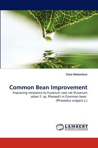 bokomslag Common Bean Improvement