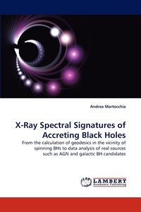 bokomslag X-Ray Spectral Signatures of Accreting Black Holes