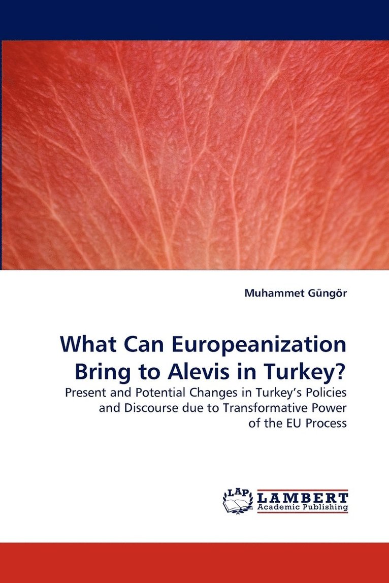 What Can Europeanization Bring to Alevis in Turkey? 1