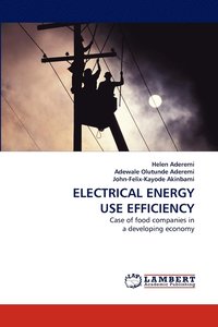 bokomslag Electrical Energy Use Efficiency