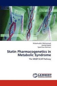 bokomslag Statin Pharmacogenetics in Metabolic Syndrome