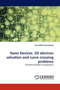 bokomslag Nano Devices, 2D Electron Solvation and Curve Crossing Problems