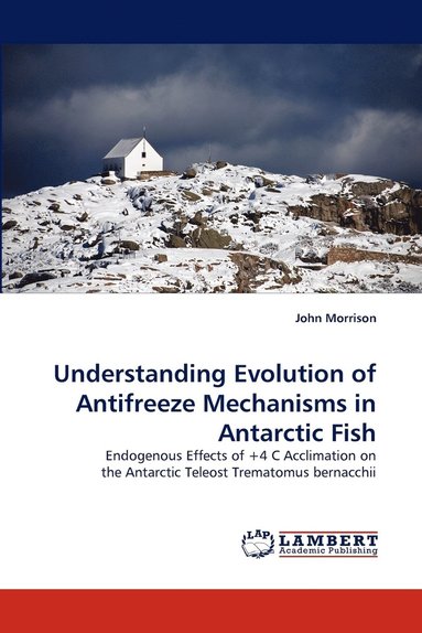 bokomslag Understanding Evolution of Antifreeze Mechanisms in Antarctic Fish