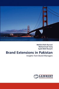 bokomslag Brand Extensions in Pakistan