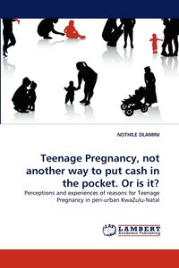 bokomslag Teenage Pregnancy, Not Another Way to Put Cash in the Pocket. or Is It?
