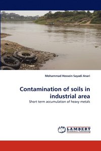 bokomslag Contamination of Soils in Industrial Area