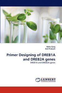 bokomslag Primer Designing of Dreb1a and Dreb2a Genes