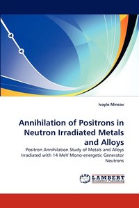 bokomslag Annihilation of Positrons in Neutron Irradiated Metals and Alloys