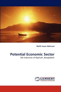 bokomslag Potential Economic Sector
