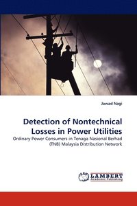 bokomslag Detection of Nontechnical Losses in Power Utilities