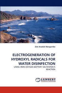 bokomslag Electrogeneration of Hydroxyl Radicals for Water Disinfection