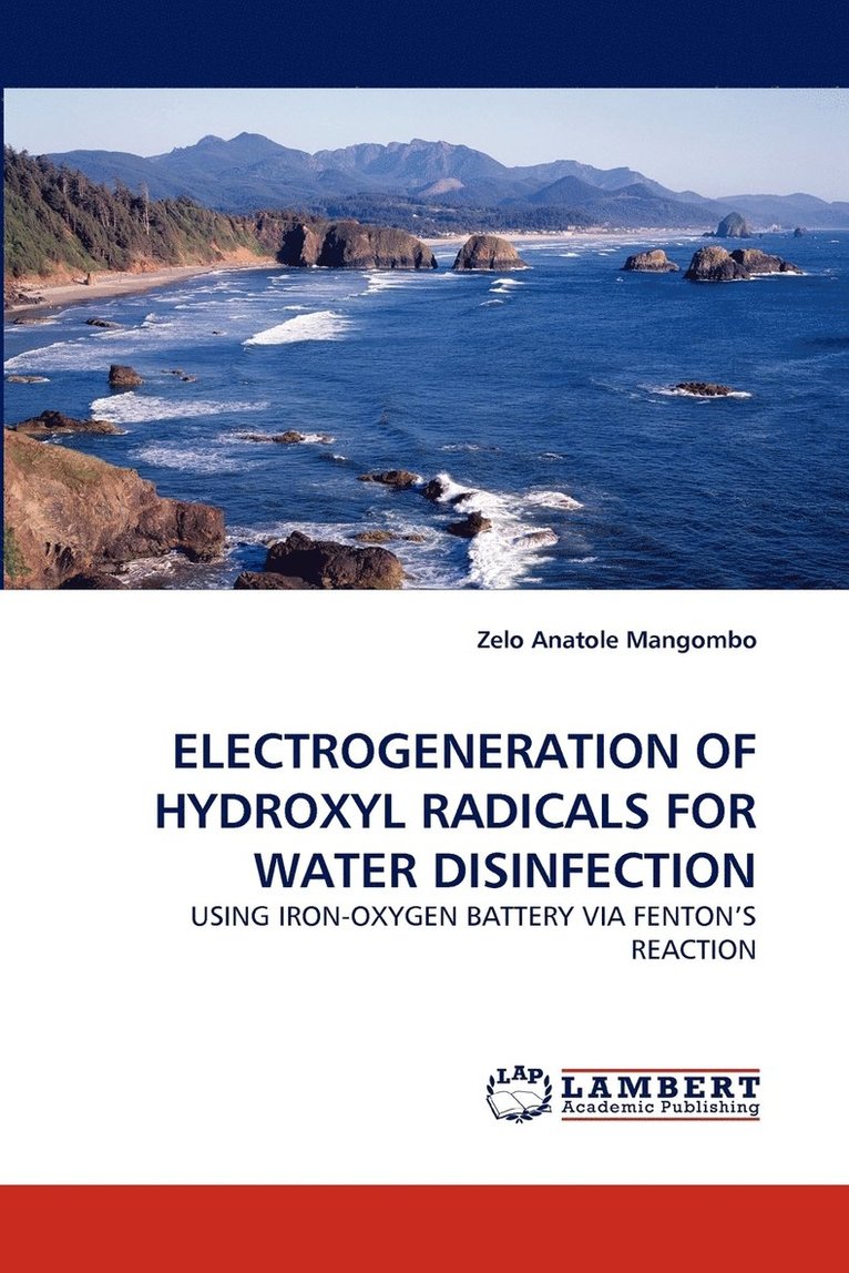 Electrogeneration of Hydroxyl Radicals for Water Disinfection 1