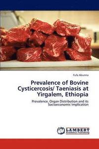 bokomslag Prevalence of Bovine Cysticercosis/ Taeniasis at Yirgalem, Ethiopia
