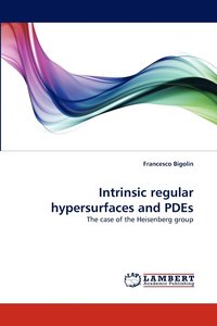 bokomslag Intrinsic Regular Hypersurfaces and Pdes