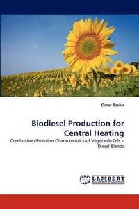 bokomslag Biodiesel Production for Central Heating