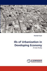 bokomslag Ills of Urbanization in Developing Economy