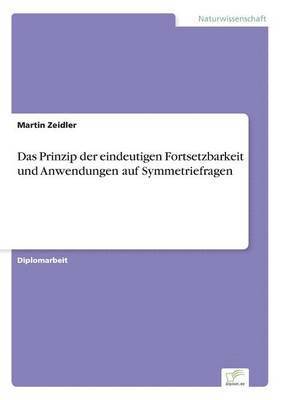 Martin Zeidler - Prinzip der eindeutigen Fortsetzbarkeit und Anwendungen auf Symmetriefragen, Häftad